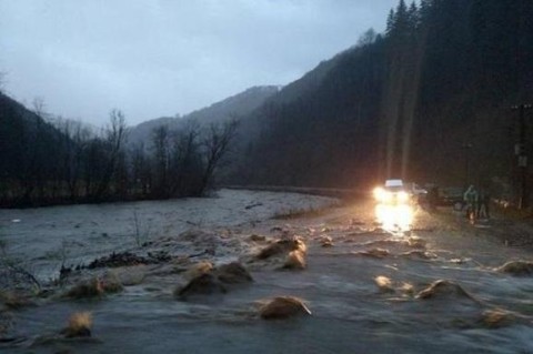 На Закарпатье спасатели нашли тело подростка, пропавшего во время паводка