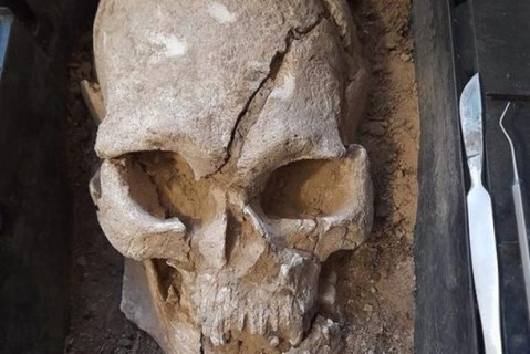 Неожиданная находка: в Днепропетровской области обнаружили останки человека возрастом 7 тысяч лет